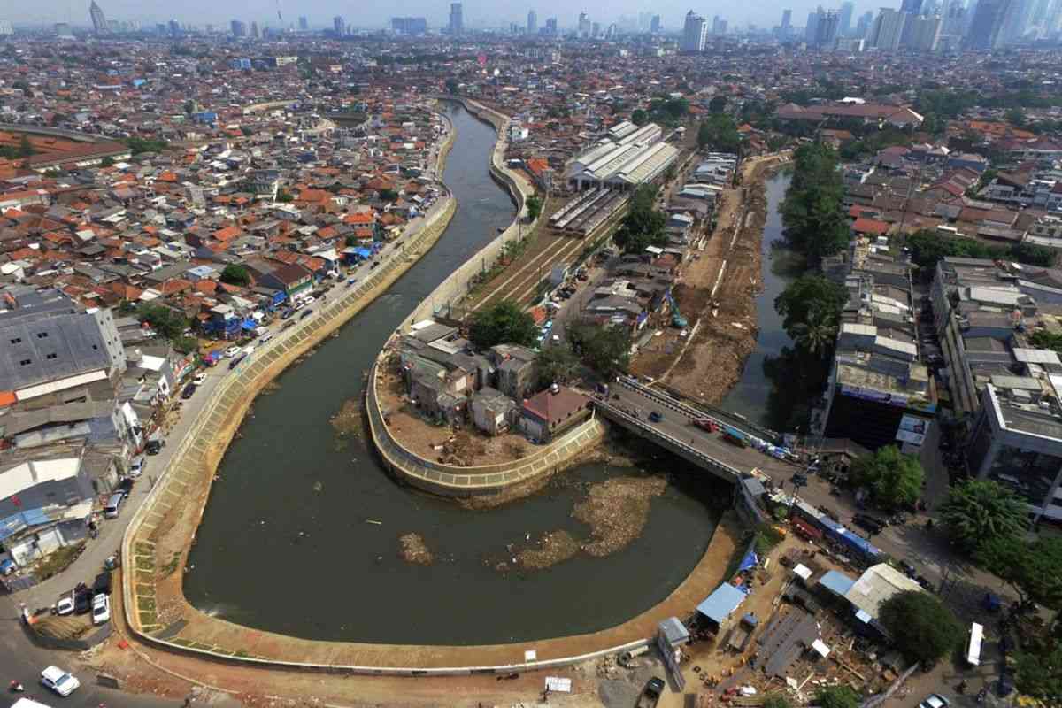 Menyikapi Penurunan Kualitas Air Sungai Ciliwung dan Dampaknya pada Lingkungan Sekitar